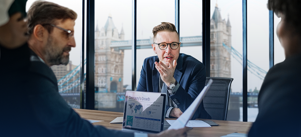 Due diligence support